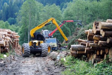 Am Aufarbeitungsplatz kommt ein Highlander mit Woody-60-Aggregat zum Einsatz.  / Foto: Oberer