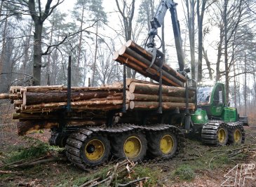 Besonders beim Laden von zwei Stößen Drei-Meter-Holz sorgt die fünfte Achse nicht nur für Bodenschonung, sondern auch für eine geringere Belastung des Mittelgelenks.