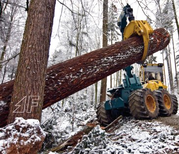 Adalbert Aichholz’ neunter HSM-Zangenskidder hat acht Räder.