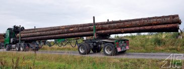 Von den 19 Meter langen Fichten würden noch einige auf den Boor’schen Langholzzug passen – wenn bloß das 40- Tonnen-Limit nicht wäre ...