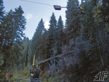 herzog_c_doppellaufwagen_weg_gr