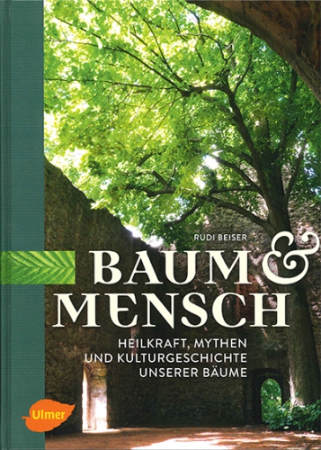 Baum und Mensch